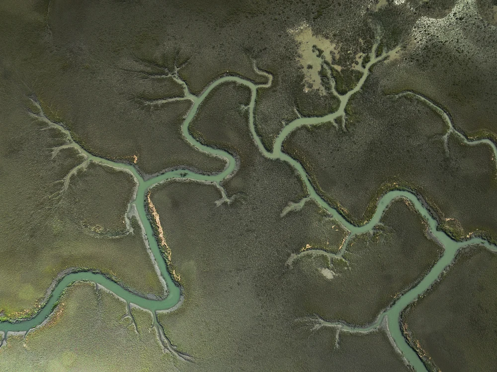 DJI_0829