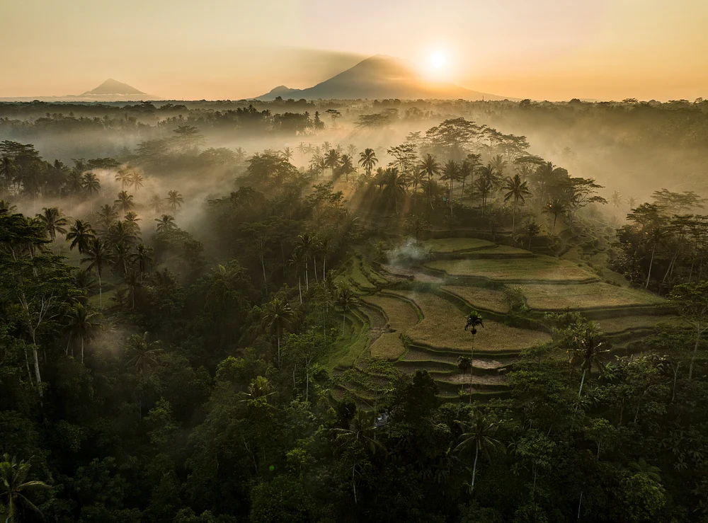 DJI_0857