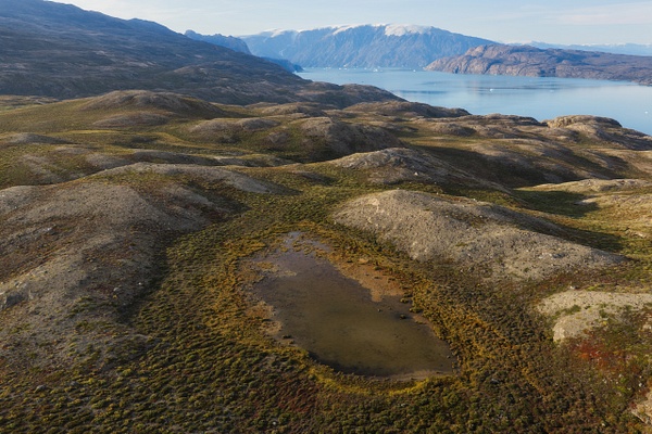 DJI_20260814165045_0989_D - Scoresby Sund - Jason Robertson Photography