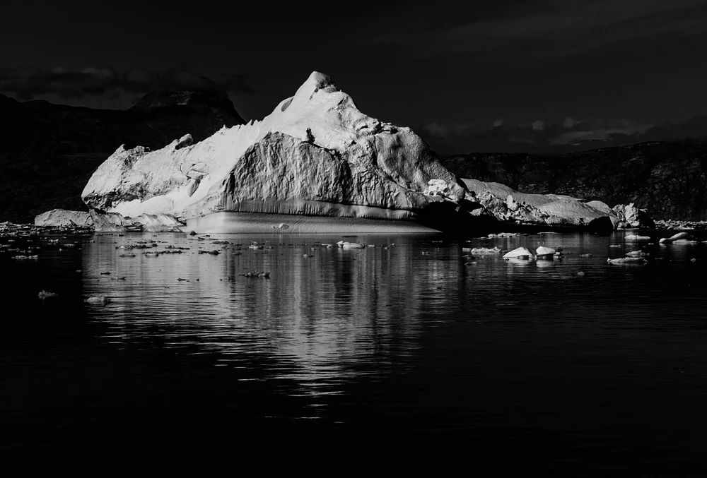 DSC_3272 DSC_3272