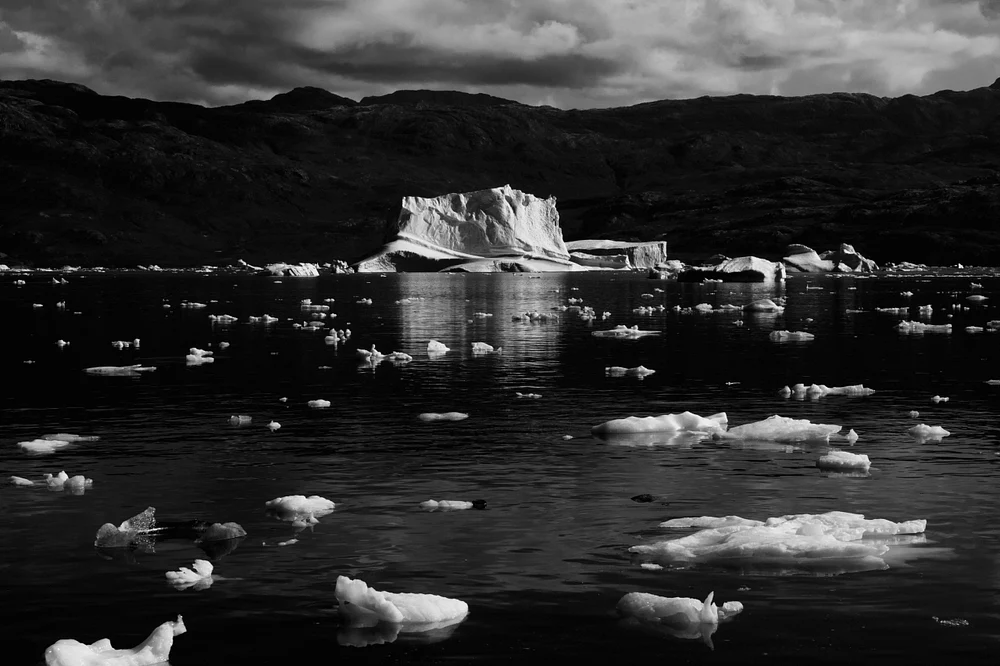 DSC_3282 DSC_3282