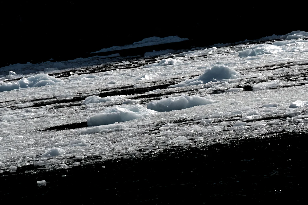 DSC_4991 DSC_4991