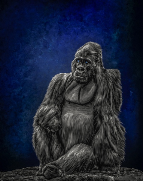 The Sapphire King - Artistic Impressions - Irene Bergamini Photography