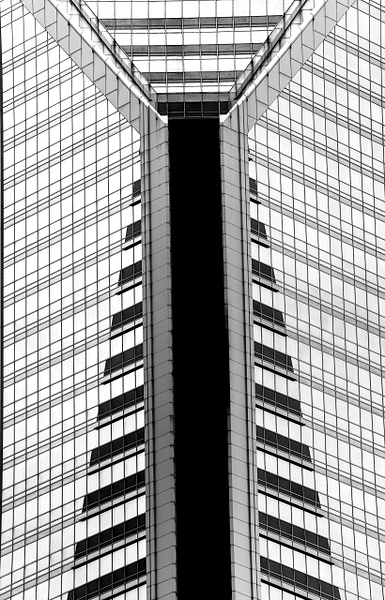 Charlotte NC Necktie - Portfolio - Mary Anne Photography