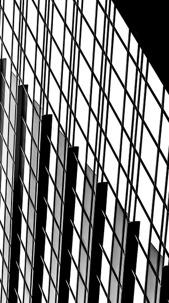 Shades - Portfolio - Mary Anne Photography