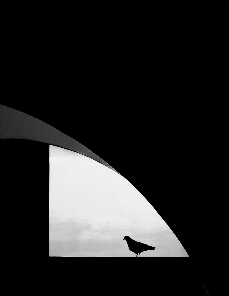 Pigeon Hole