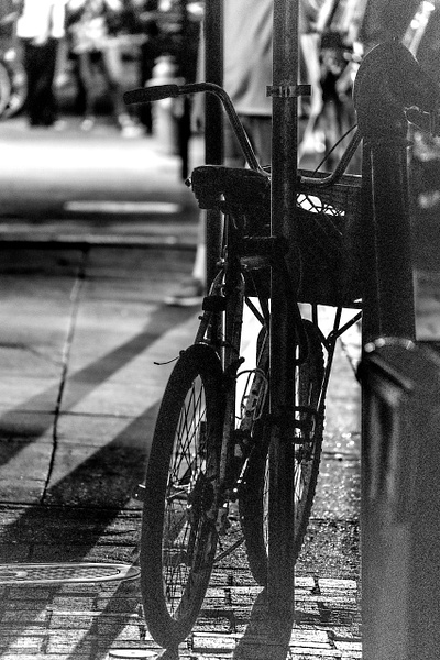 Bourbon St Transport - Portfolio - Mary Anne Photography