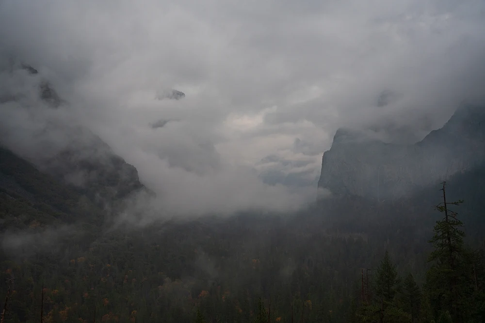 What the Storm Reveals