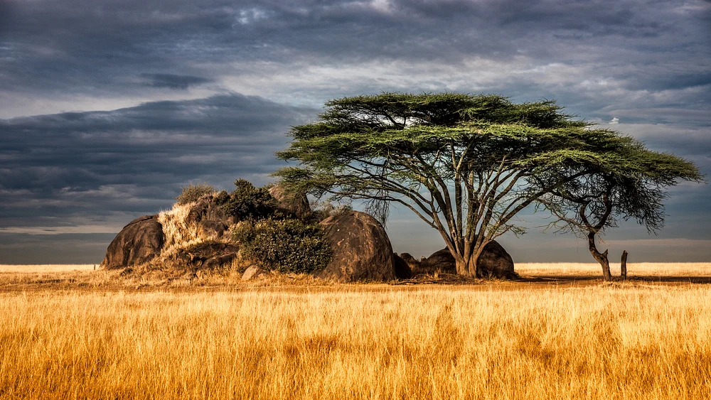 Majestic Kopjes in Tanzania's Serengeti at Sunset