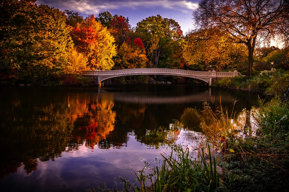Tranquil Autumn Reflections at Central Park Bridge