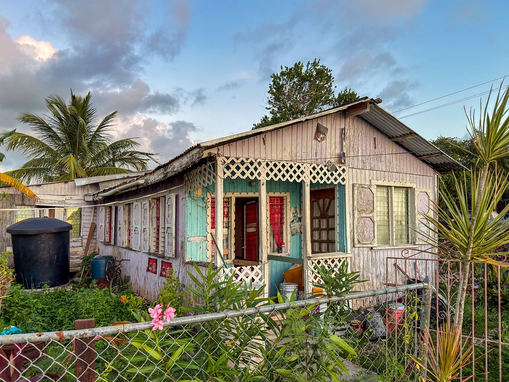 Charming Coastal Cottage Surrounded by Lush Foliage
