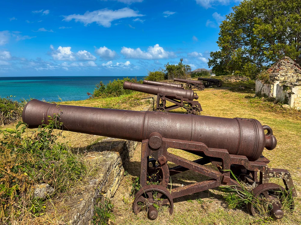 Historic Cannons Overlooking the Ocean