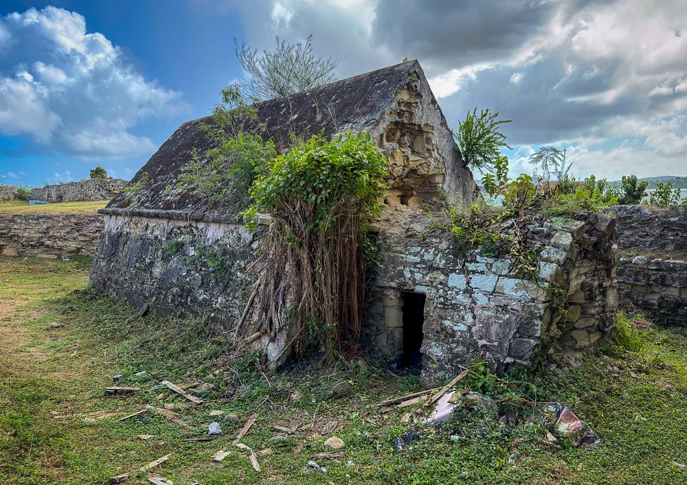 Ancient Ruins Overrun by Nature
