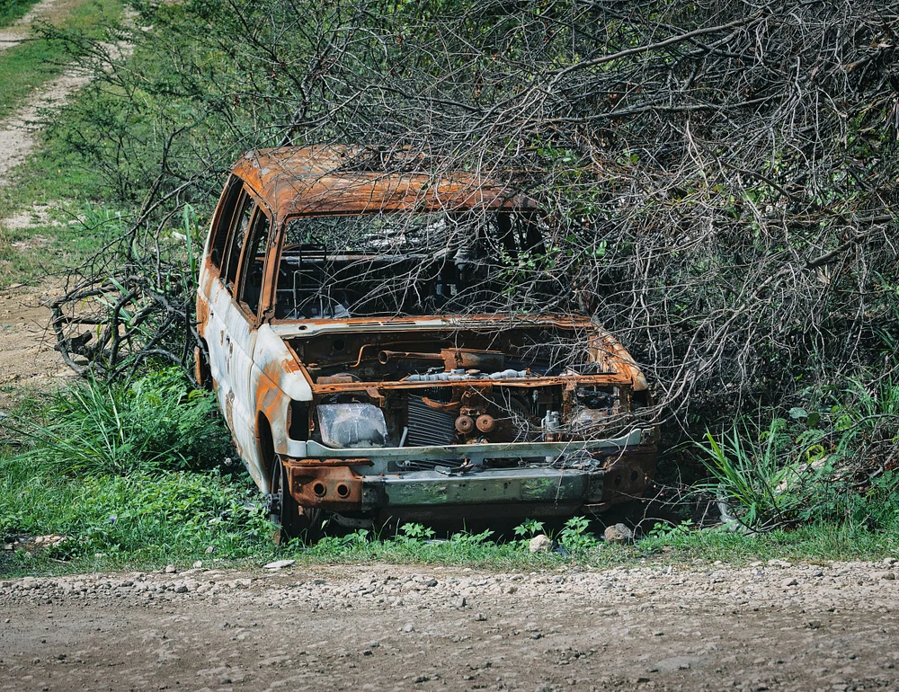 Rusty Vehicle Embraced by Nature