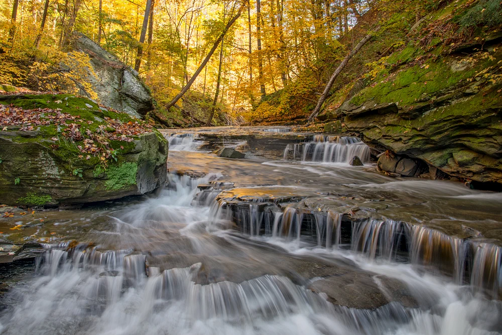 Brandywine Gorge Rapids
