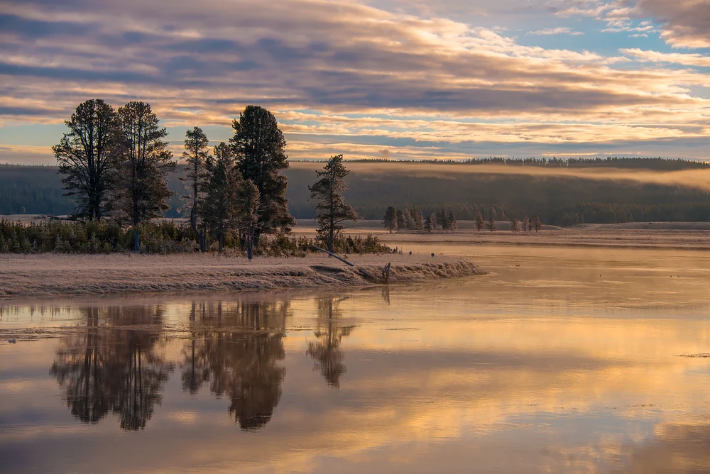 Serene Riverbank at Dawn with Reflective Waters