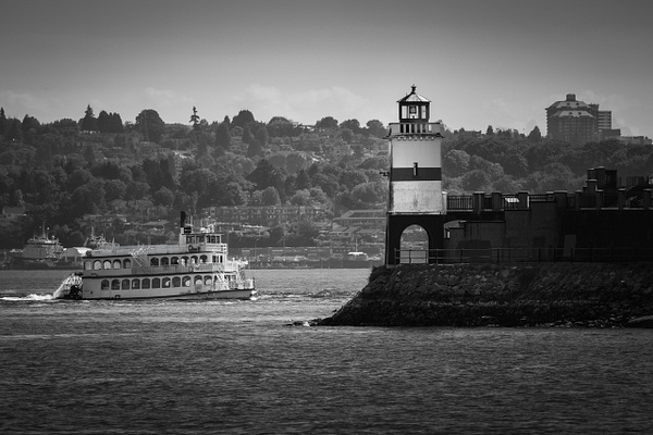 Stanley Park Sentinel - Black and White - Tina Stevens-Brown Photography