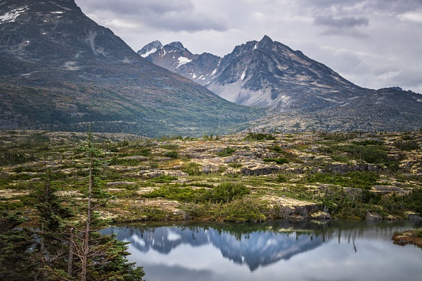A wide-angle, panoramic landscape photograph showcasing the grand scale of the windswept Tormented Valley wilderness. The sprawling composition features a vast middle ground carpeted with rugged subalpine tundra moss and gnarled, dwarf evergreens. In the background, majestic granite mountain peaks rise against a dramatic, cloudy sky, with a sliver of a mirror-like glacial pool visible along the bottom edge.