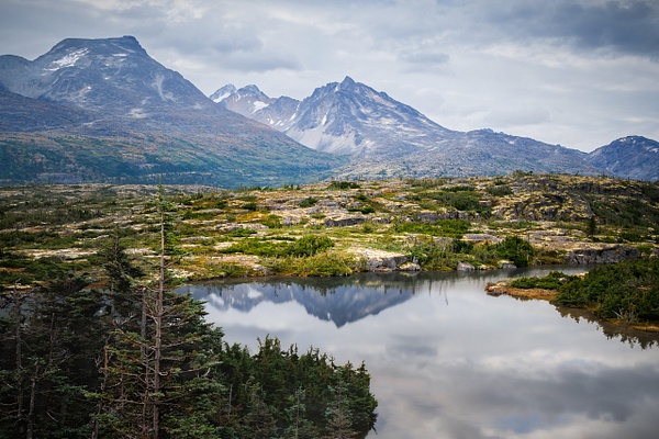 A sharp, intimate landscape photograph of a rugged granite mountain peak in the Tormented Valley of British Columbia, Canada. The jagged, snow-patched peak is perfectly mirrored in the glassy, undisturbed surface of a still alpine tarn. The foreground features weathered, low-growing krummholz pine trees and rich green subalpine mosses scattered across rocky hummocks under a soft, overcast sky.
