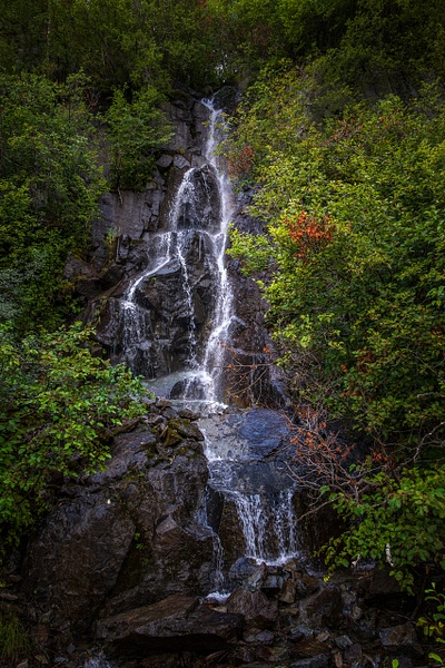 An intimate vertical landscape photograph of Pitchfork Falls along the Klondike Highway in Alaska, showcasing a multi-tiered waterfall fanning through a dense forest canopy. The sharp, detailed streams of water trace down dark, mossy rock fractures. The entire scene is closely framed by deep, damp emerald-green trees from the Tongass National Forest, accented by a small cluster of orange autumn leaves on the right.
