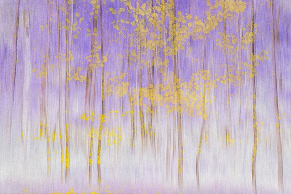 untitled-6 - Majestic Idaho - Stephen Heidel Photography