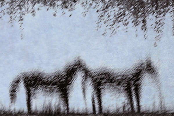 untitled-2 - Watering Hole - Stephen Heidel Photography
