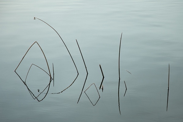 untitled-5 - Transient Beauty - Stephen Heidel Photography