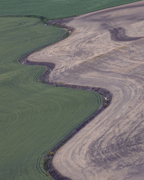 untitled - Natural Rhythms - Stephen Heidel Photography