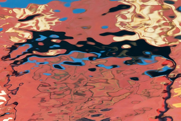 untitled-20 - Natural Rhythms - Stephen Heidel Photography