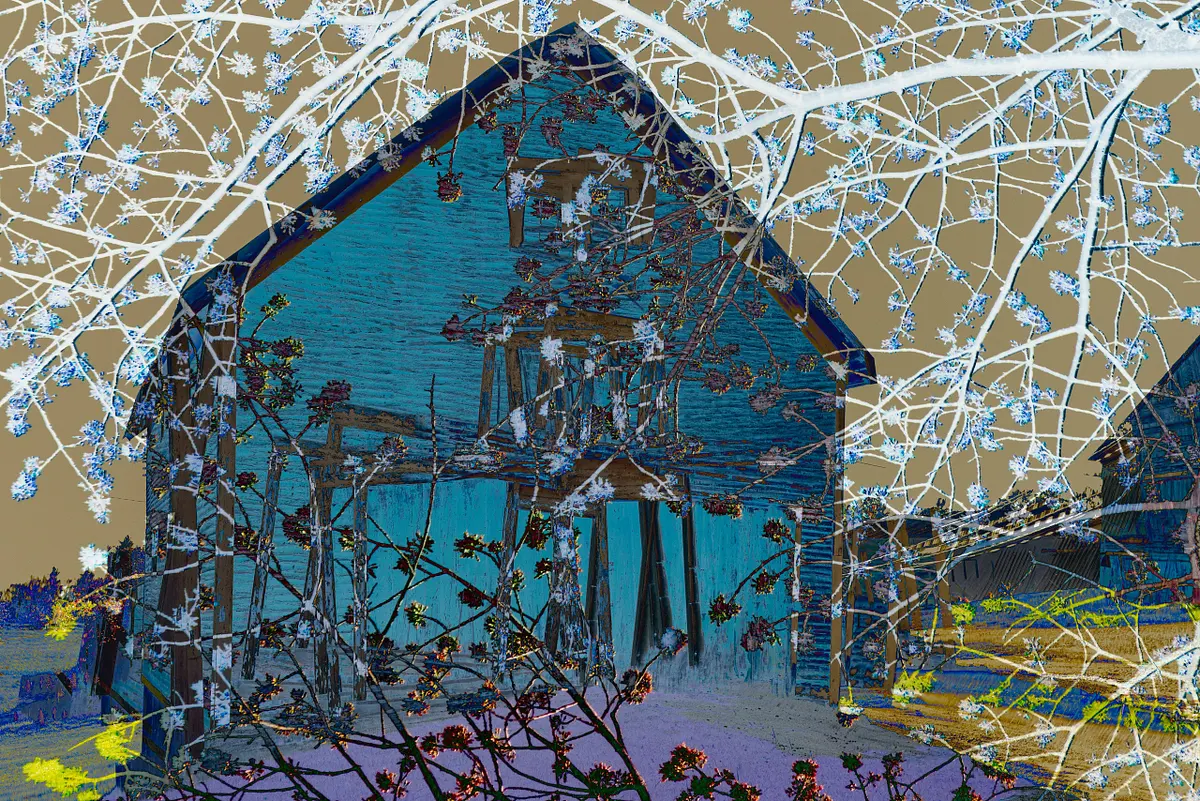 untitled copy