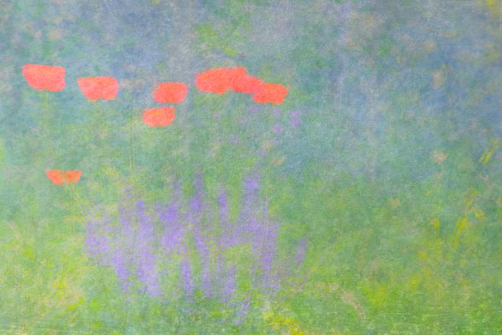 untitled-5