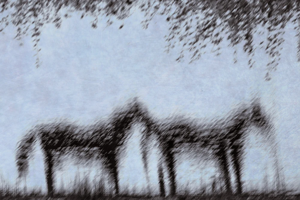 untitled-2