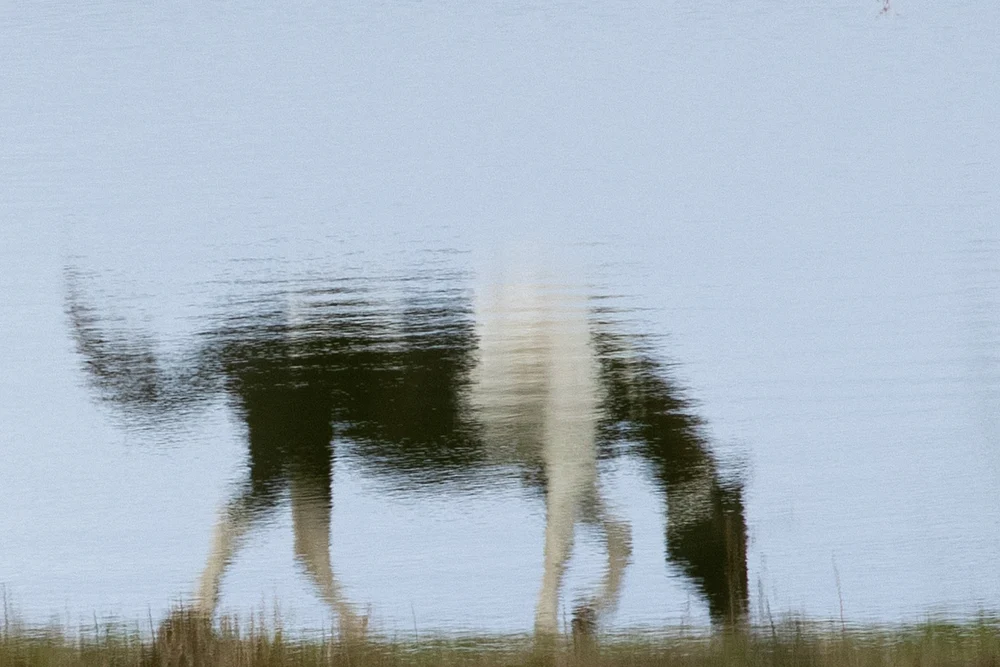 untitled-2