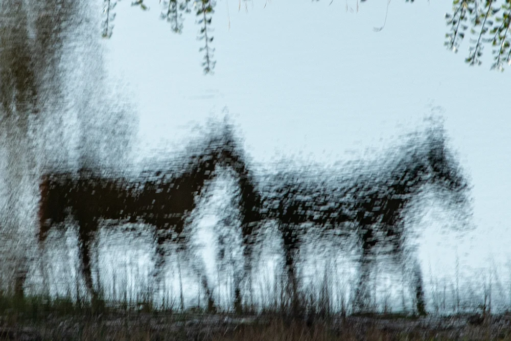 untitled-7