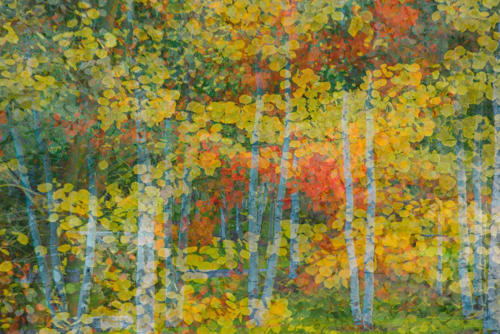 untitled-3