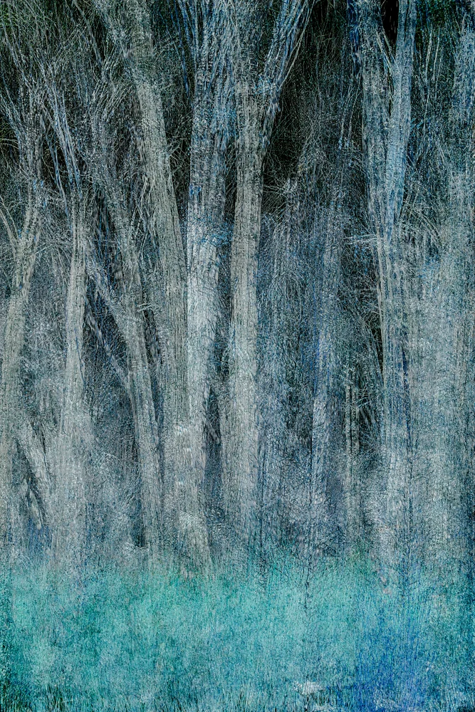 untitled-7
