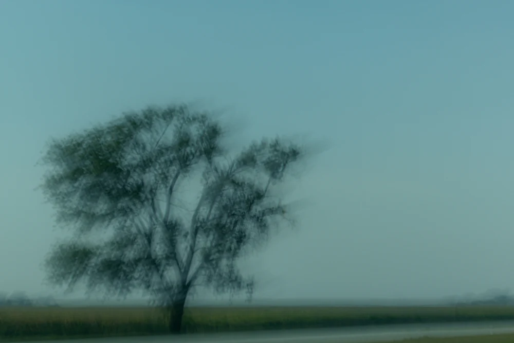 untitled-3