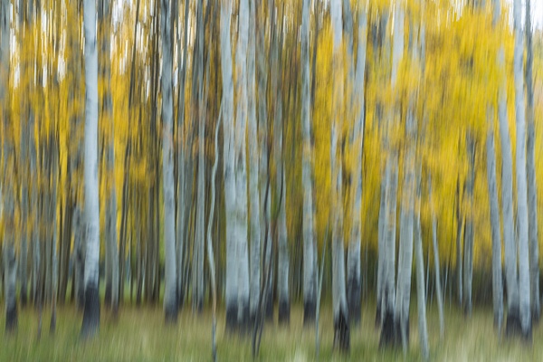 untitled-16 - Majestic Idaho - Stephen Heidel Photography