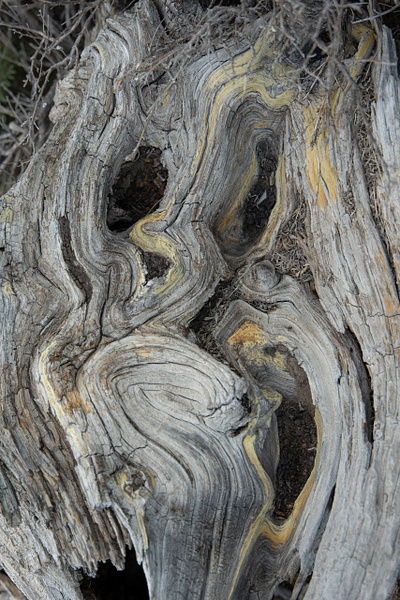 untitled-25 - Majestic Idaho - Stephen Heidel Photography