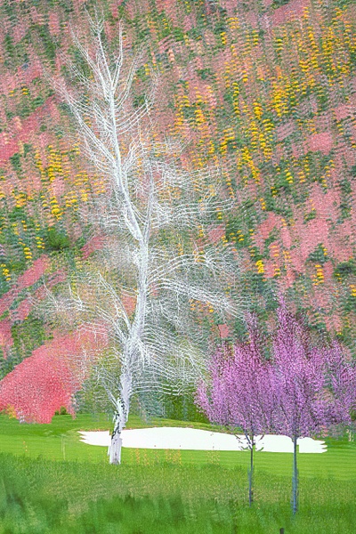untitled-20 - Majestic Idaho - Stephen Heidel Photography