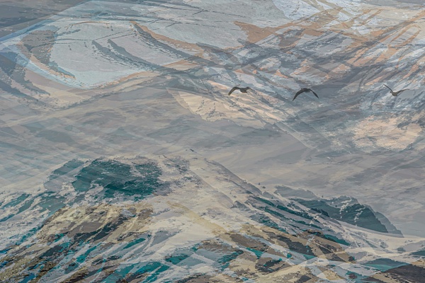 untitled-10 - Majestic Idaho - Stephen Heidel Photography