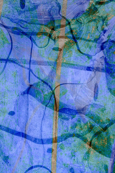 untitled-11 - Natural Rhythms - Stephen Heidel Photography
