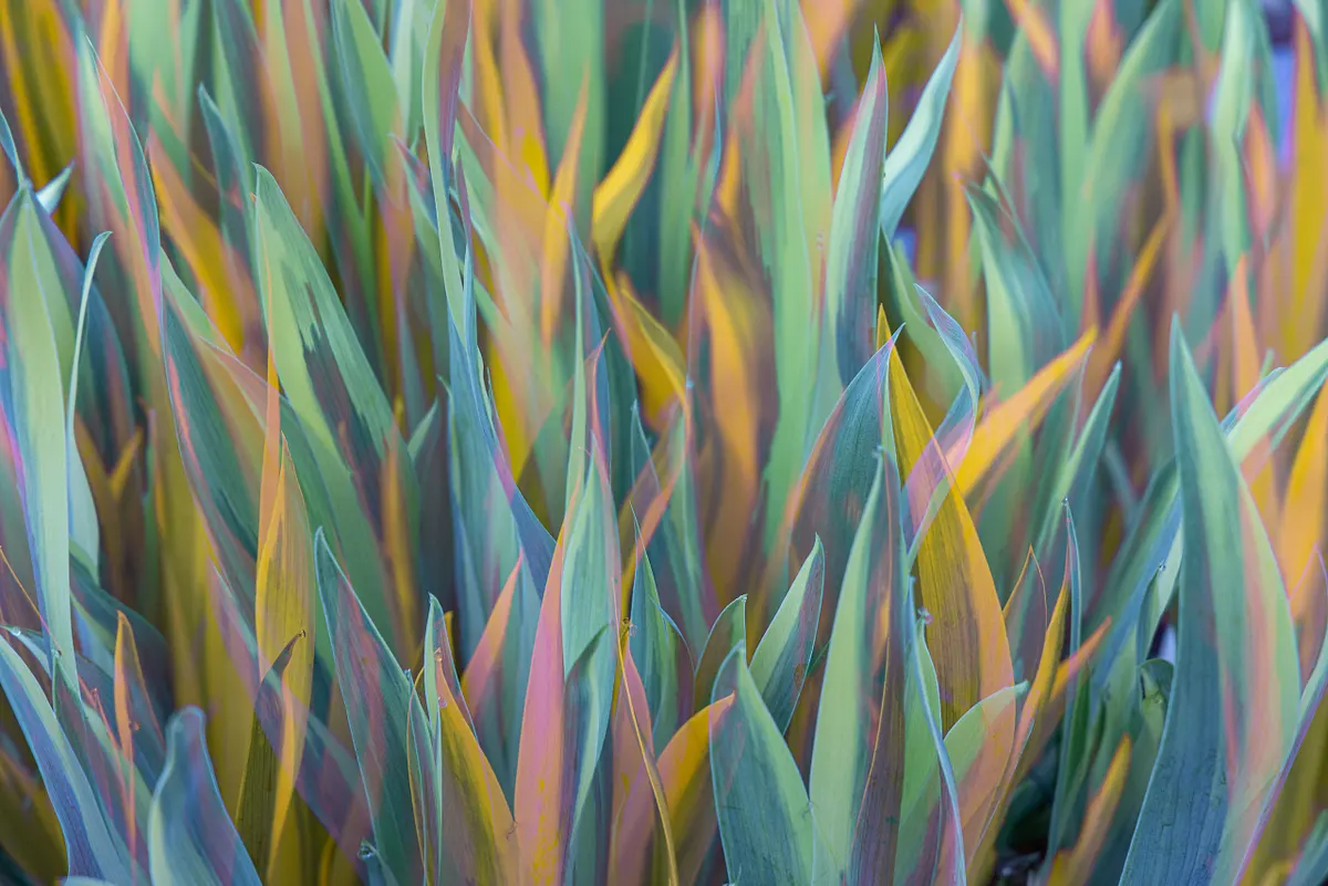 Stephen Heidel Photography