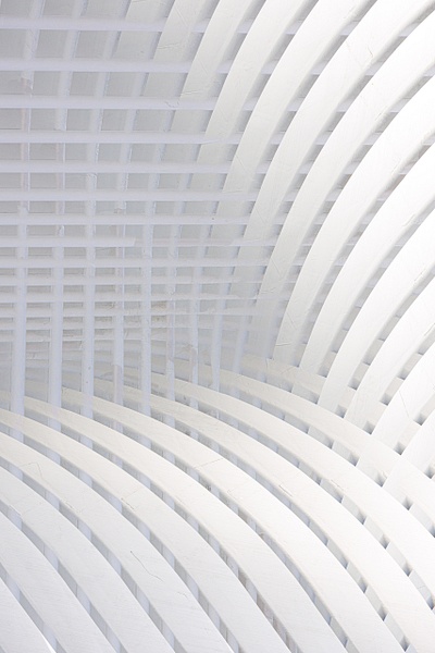 untitled-18 - Urban - Stephen Heidel Photography