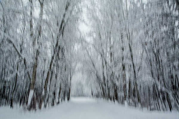 untitled - Majestic Idaho - Stephen Heidel Photography