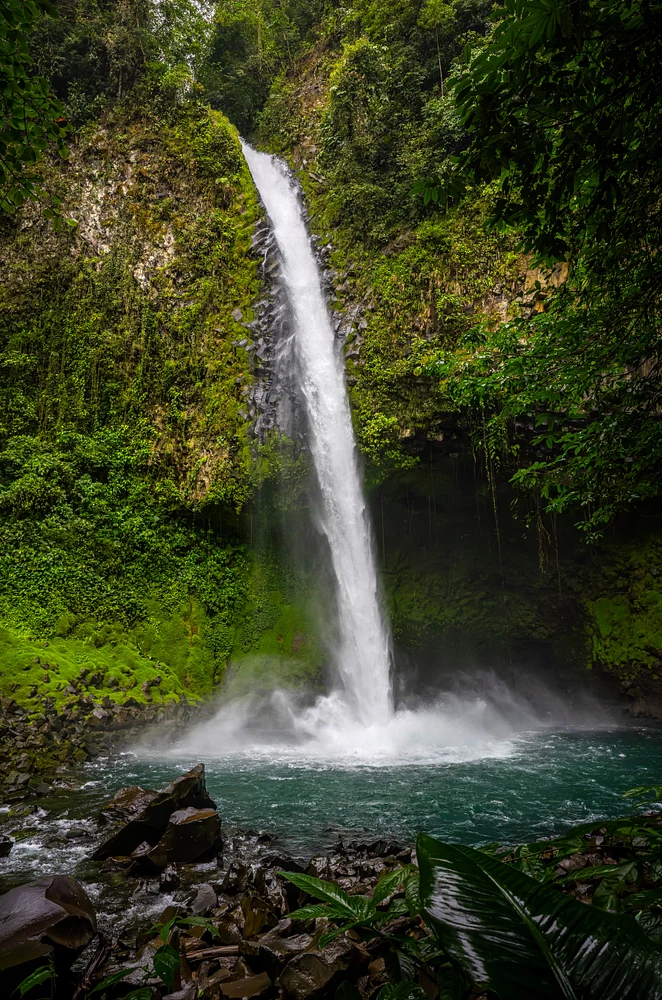 Verdant Plunge at La Fortuna Falls, Costa Rica