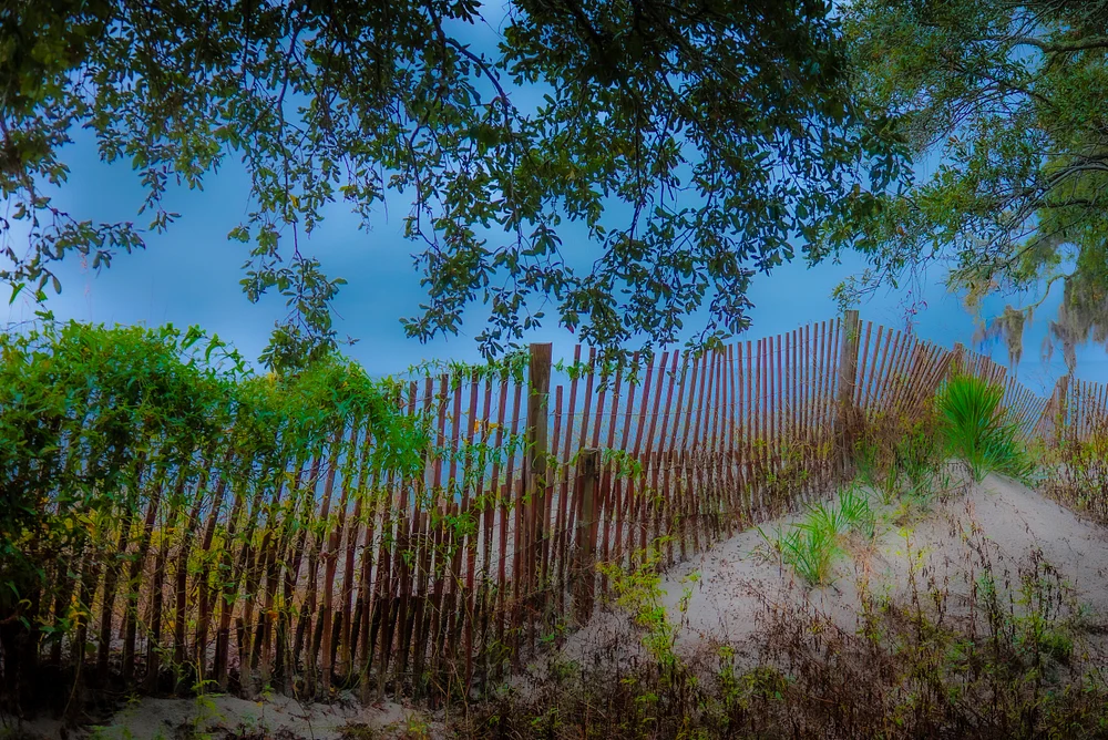 Dreamy Sand Dunes at St Andrews Beach, Jekyll Island Dreamy sand dunes and wooden fence at St Andrews Beach, Jekyll Island.