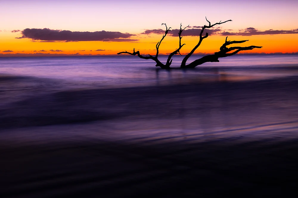 Fine Art Sunrise Over Driftwood Beach at Jekyll Island Fine Art Sunrise Over Driftwood Beach at Jekyll Island