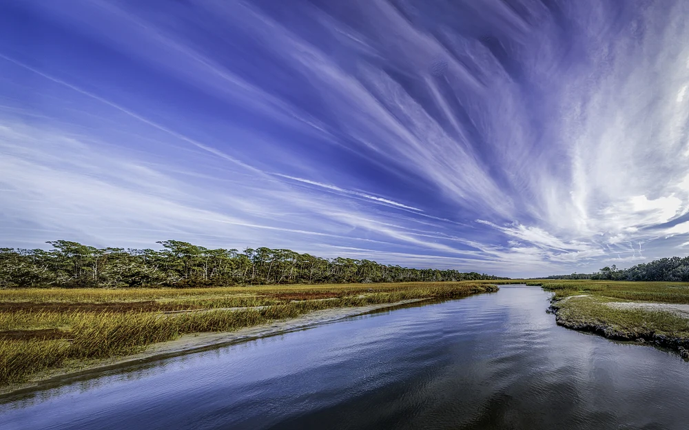 Serene Clam Creek Landscape on Jekyll Island, Georgia