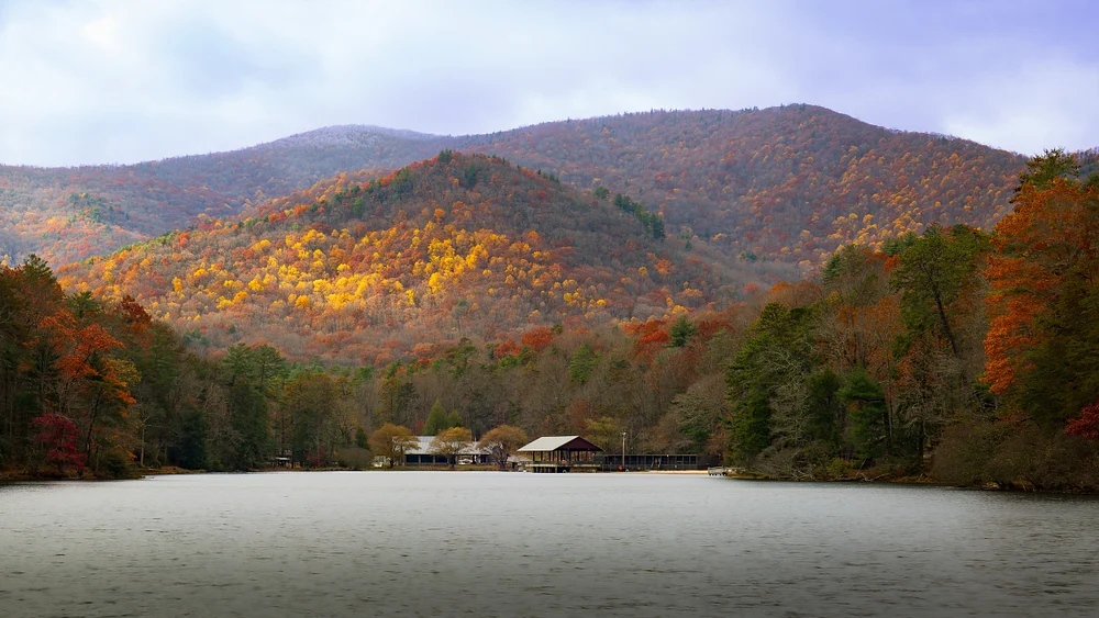 Lake at Vogel State Park